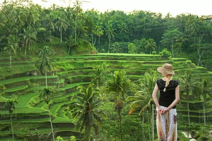 Ruộng bậc thang Tegallalang