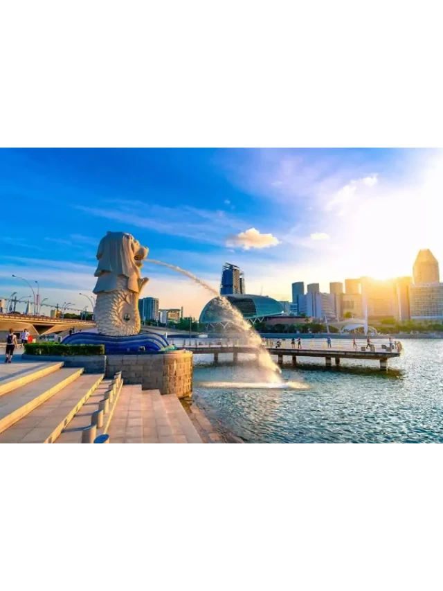   Kinh nghiệm du lịch Singapore tự túc năm 2024 - Tự tin khám phá quốc đảo sư tử