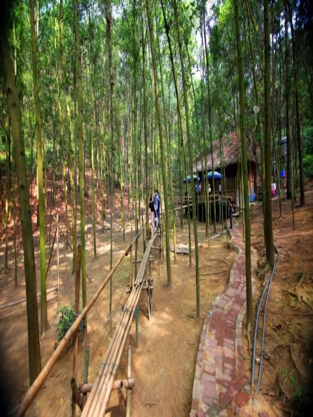  7 Khu du lịch sinh thái gần Hà Nội đẹp như tranh vẽ