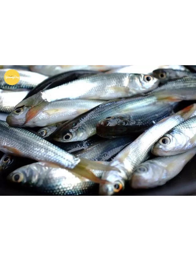   Cách nấu lẩu cá linh bông điên điển: Sự kết hợp thơm ngon và bổ dưỡng!