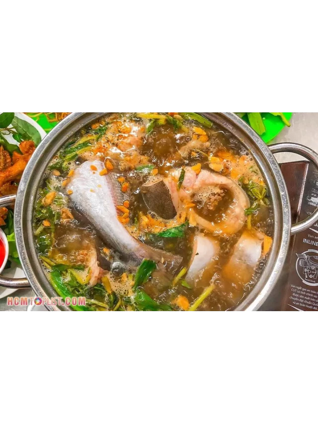   Phá đảo top 10+ quán lẩu đầu cá hồi ở Sài Gòn ngon nhất