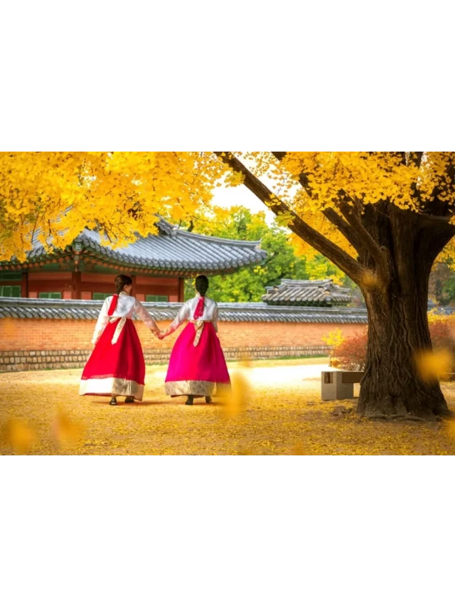   Trang phục du lịch Hàn Quốc mùa thu: Bí quyết tìm hiểu và khám phá